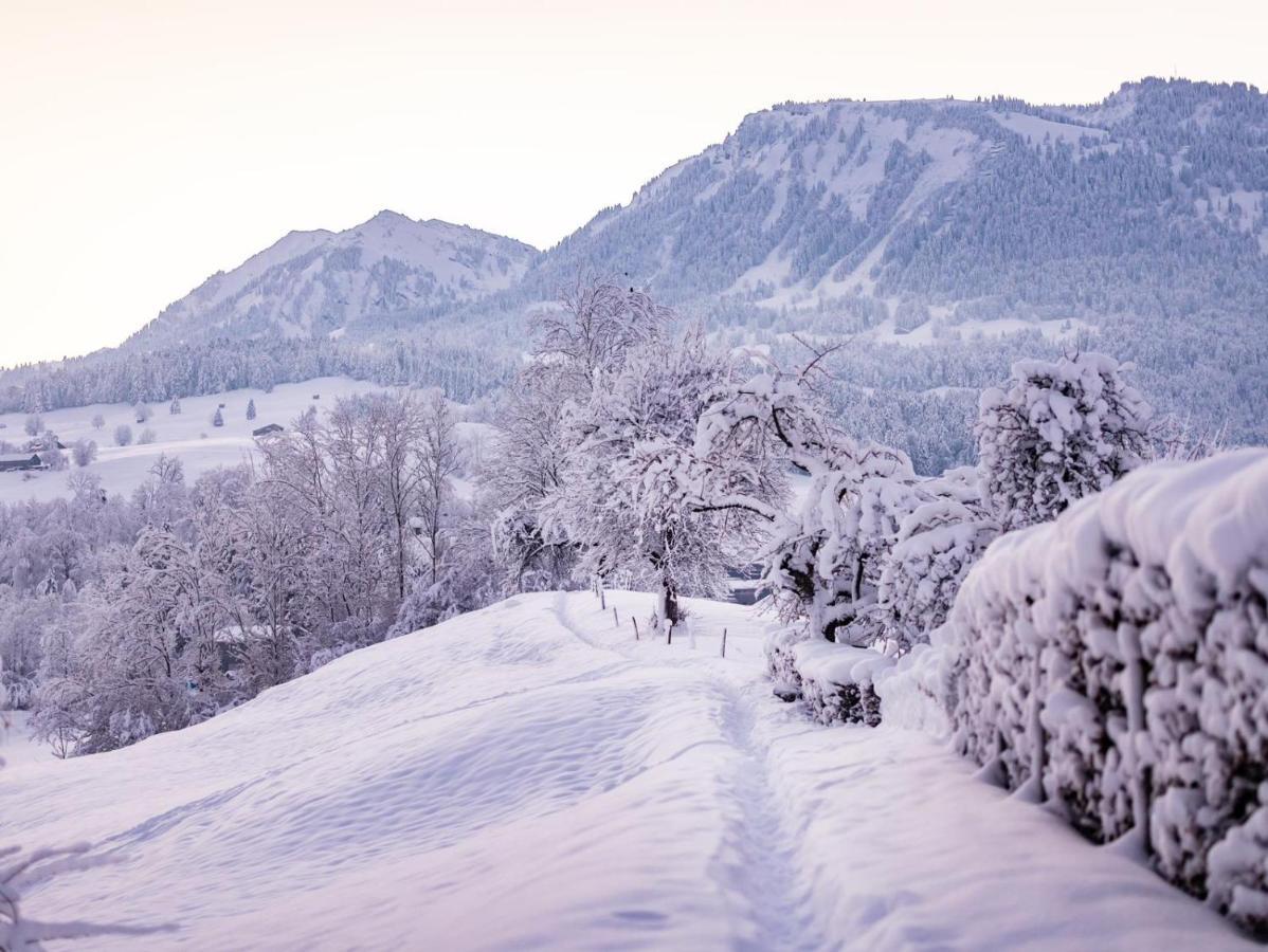 Ninis - Ferienhaus Im Bregenzerwald Egg Buitenkant foto